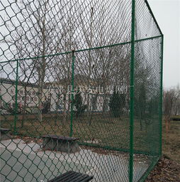 籃球場(chǎng)圍欄供應(yīng) 阿拉善盟籃球場(chǎng)圍欄 東川絲網(wǎng) 查看