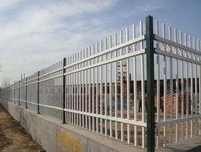 組裝式鋅鋼護(hù)欄 黎帆