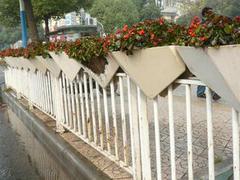 寧夏護欄哪家好|甘肅專業護欄廠家圖片|寧夏護欄哪家好|甘肅專業護欄廠家產品圖片由蘭州天立城市公共設施公司生產提供-